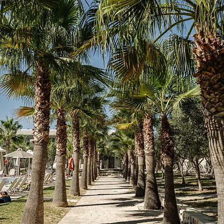 Caretta Island Kalamákion