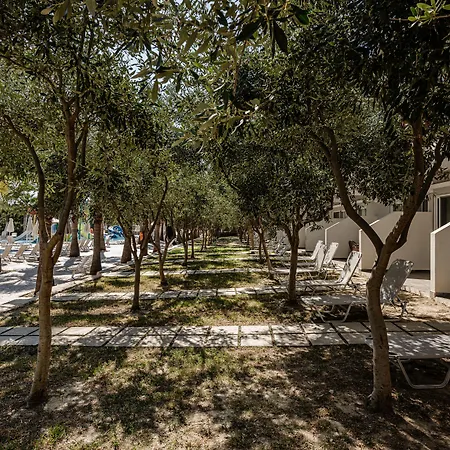 Caretta Island فندق